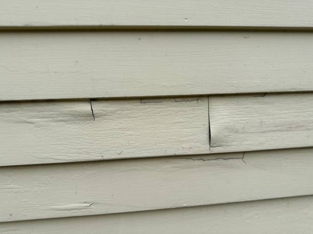 Best Wood Siding Installation  in Senatobia, MS